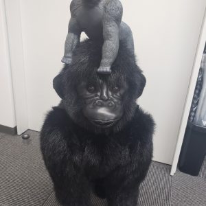 ゴリラぬいぐるみ 株式会社 Mountain Gorilla